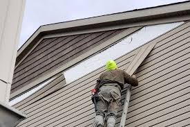 Best Historical Building Siding Restoration  in Whitg, IN